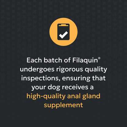 Close up of Filaquin soft chews for dog digestive health