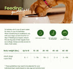 Smallbatch freeze-dried dog food scoopable bites
