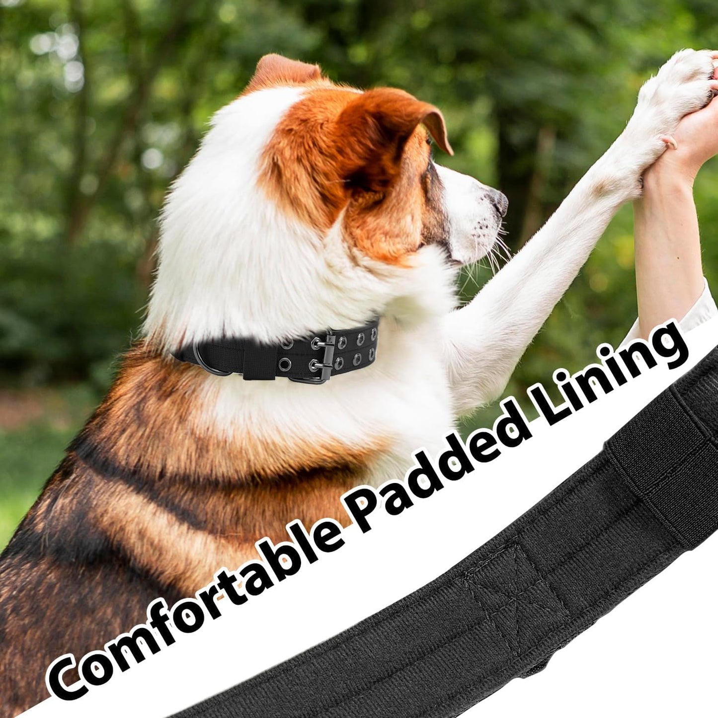 Periflowin adjustable nylon training collar large size