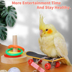 Stacking rings and woven rattan balls for parakeets