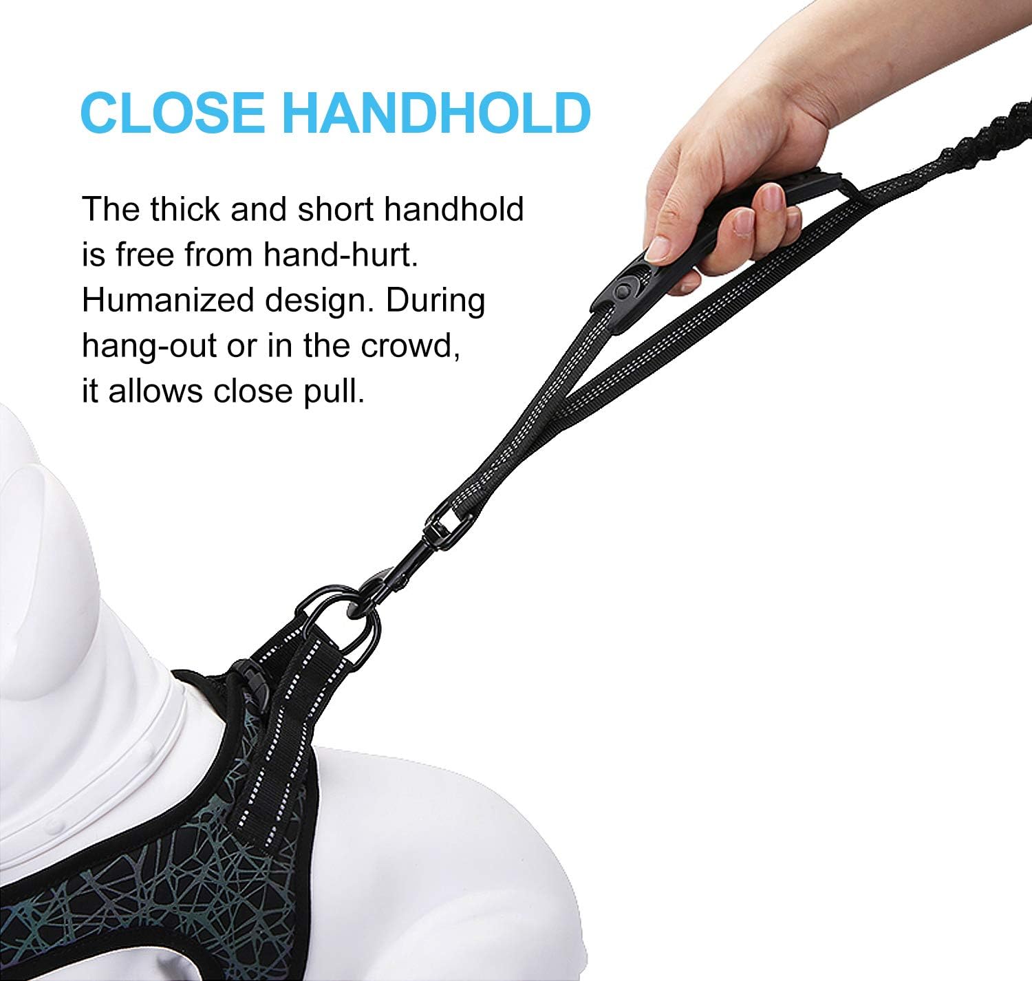Leadsom imported dog training leash with reflective stitching for safety.