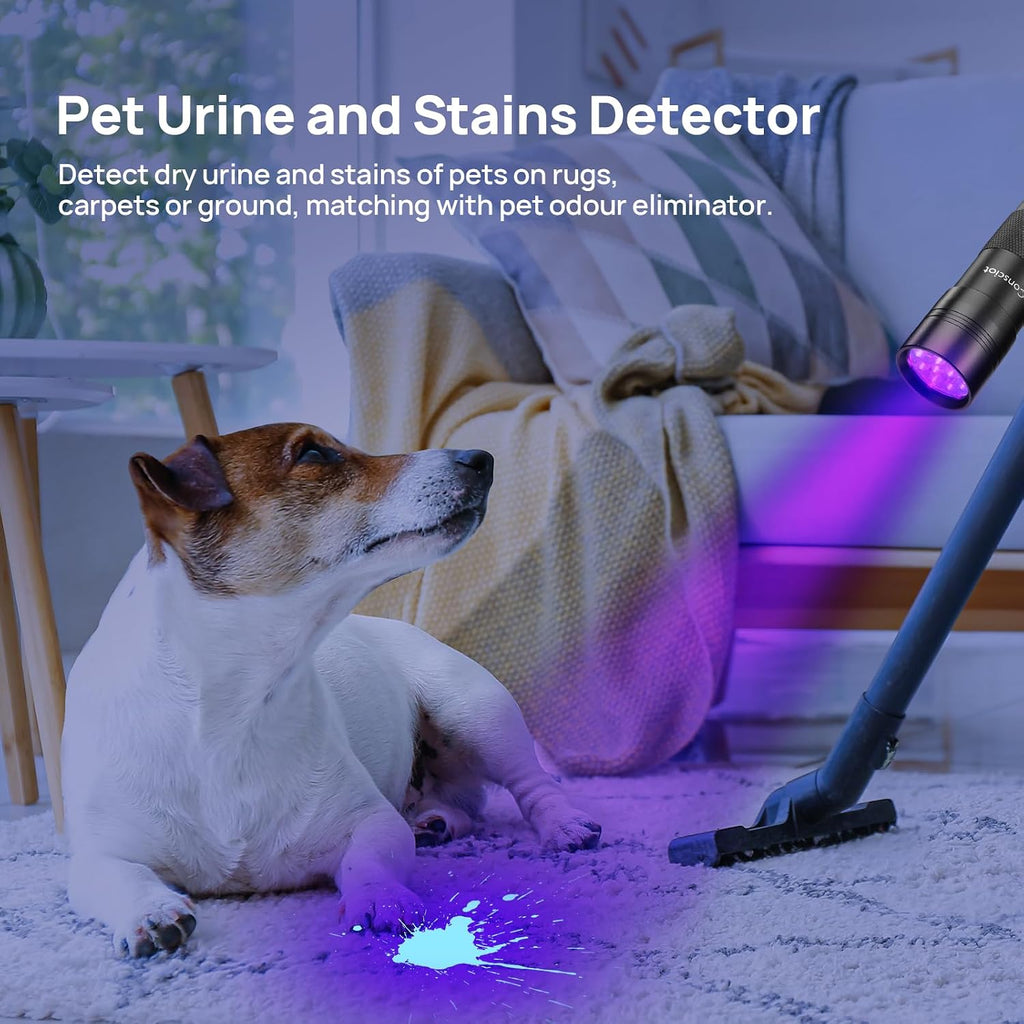 Consciot portable mini torch pet stain finder body design