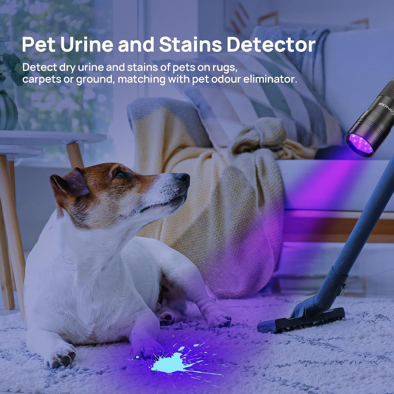 Consciot portable mini torch pet stain finder body design