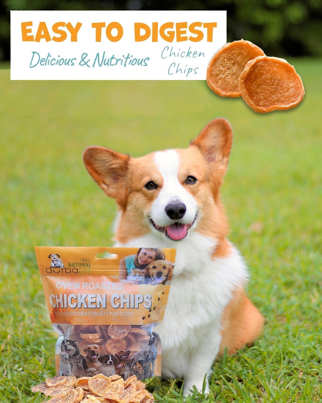 Natural chicken breast dog treats in 4 ounce bag