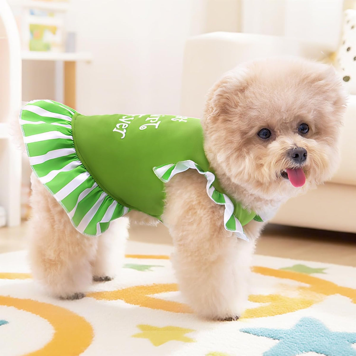 Back view of the colorful floral dog apparel highlighting the ruffle details