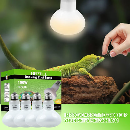 Lucky Herp daylight bulb for turtle and lizard heating illuminating a terrarium environment.