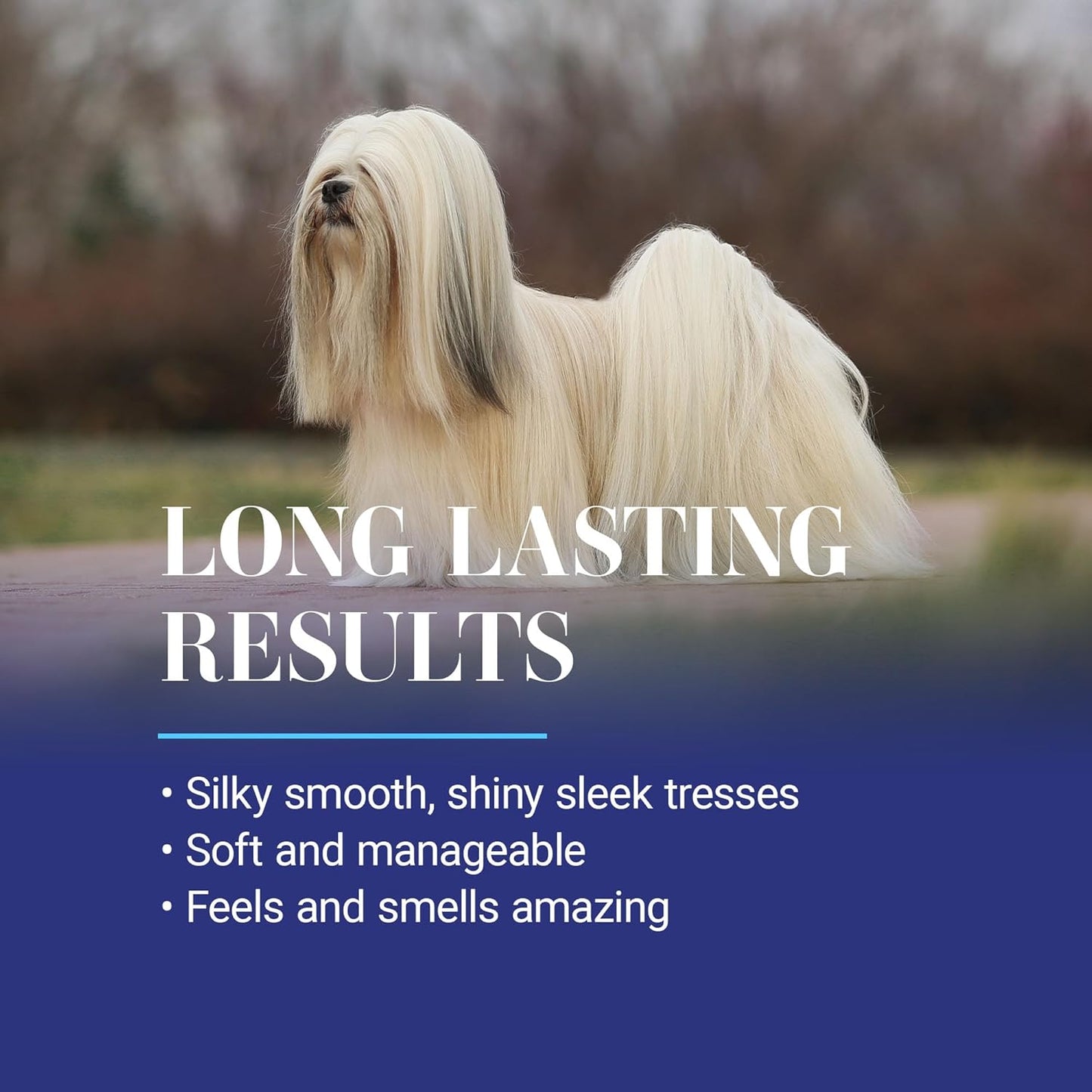 Chris Christensen three step professional pet grooming bundle for cats and dogs