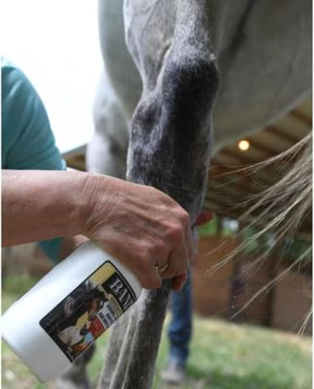 Spray nozzle detail on Banixx horse and pet care bottle