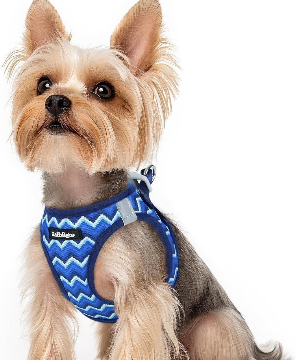 rabbitgoo Small Dog Harness, Step-in Easy On Soft Light Puppy Vest with Breathable Mesh for Walking, Safe Reflective Pet Harness for Small Sized Dogs, Navy Blue S - Image 10