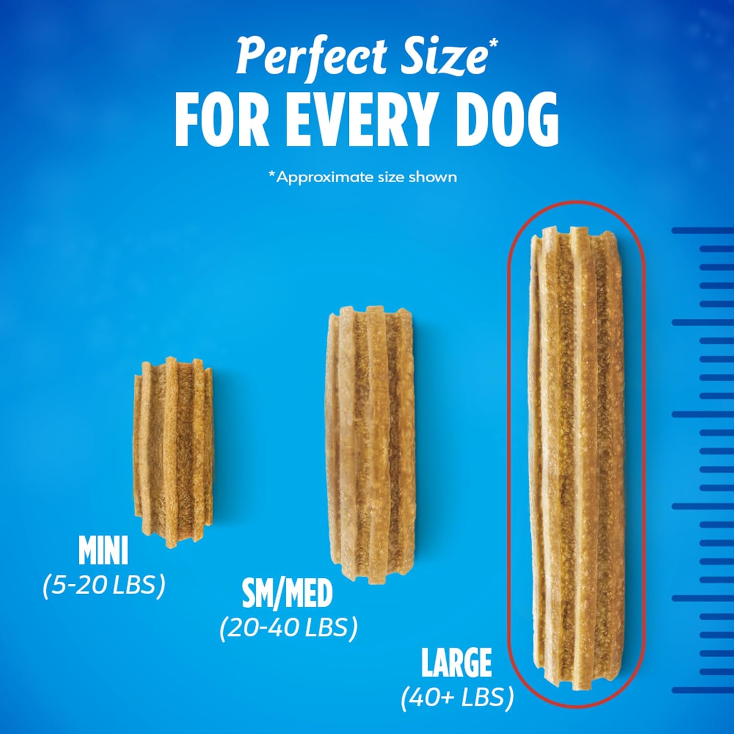 Porous texture profile of a Purina DentaLife large dog chew designed for tartar reduction.