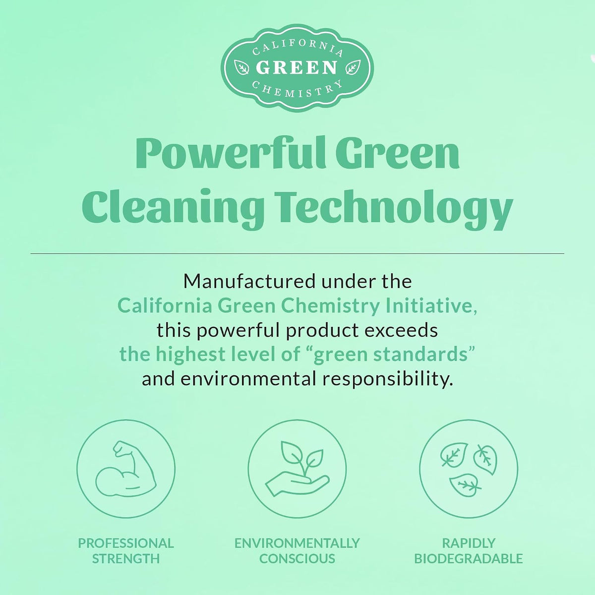 Skout's Honor concrete cleaner for pet urine stain treatment.
