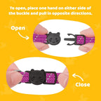 BirdsBeSafe elastic stretch cat collar laid flat to display full length adjustment.