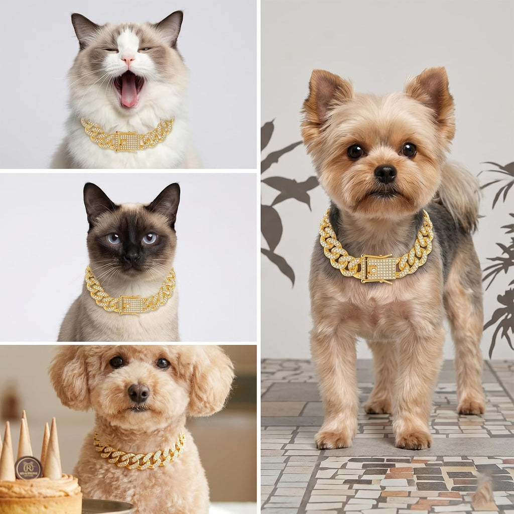Detailed view of the sparkling rhinestone pave setting on the eight inch small pet fashion necklace
