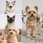 Detailed view of the sparkling rhinestone pave setting on the eight inch small pet fashion necklace