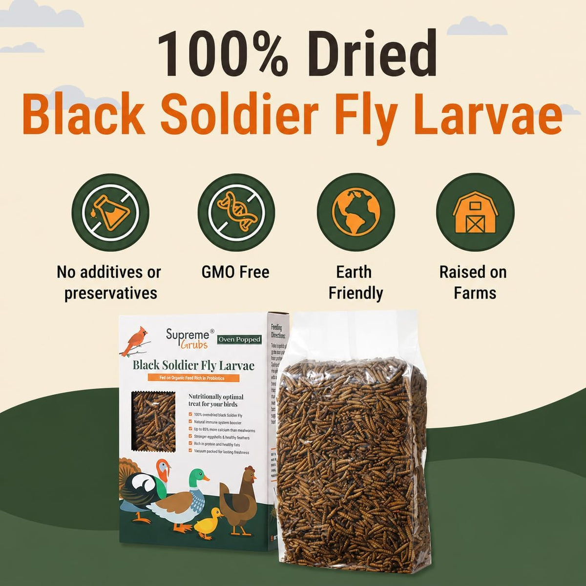 Close up of high protein oven popped black soldier fly larvae for chickens.