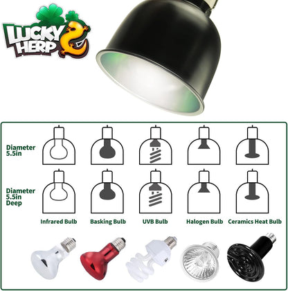 Lucky Herp reptile heat lamp fixture with durable ceramic socket for terrariums.