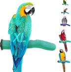 Sweet Feet and Beak Safety Pumice Bird Perch, Small Pedicure Perch, Green - Image 9