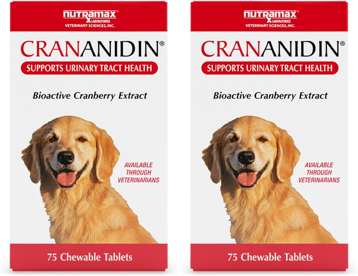 Nutramax Crananidin for Dogs, Urinary Tract Health and Bladder Health Support, Cranberry Supplement for Dogs of all Breeds and Sizes, Chewable Tablets, 75 Count - Image 10