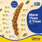 Birds LOVE 1 lb millet bag for cockatiels and lovebirds