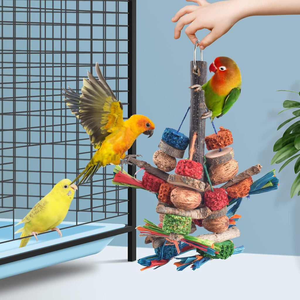 Bird interacting with Bissap hanging natural chew toy