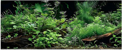 Aquarium Background, Aquatic Plant River Bed & Lake Tropical Undersea Tree Branch Fish Tank Background, 6 EVA Double-Sided Tapes 36x18 inches/90x45 - Image 15