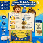 Birds LOVE 3.5-4" Cuttlebone for Birds - 100% Natural Sun-Dried Calcium & Beak Conditioning Supplement for Parakeets, Budgies, Cockatiels, Finches & Canaries - 4 Pack with Holder - Made in Vietnam - Image 6