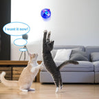 Durable poly-carbonate plastic glowing pet accessory pack on flat surface