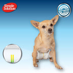 Simple Solution male dog wrap wetness indicator strip before and after use demonstration.