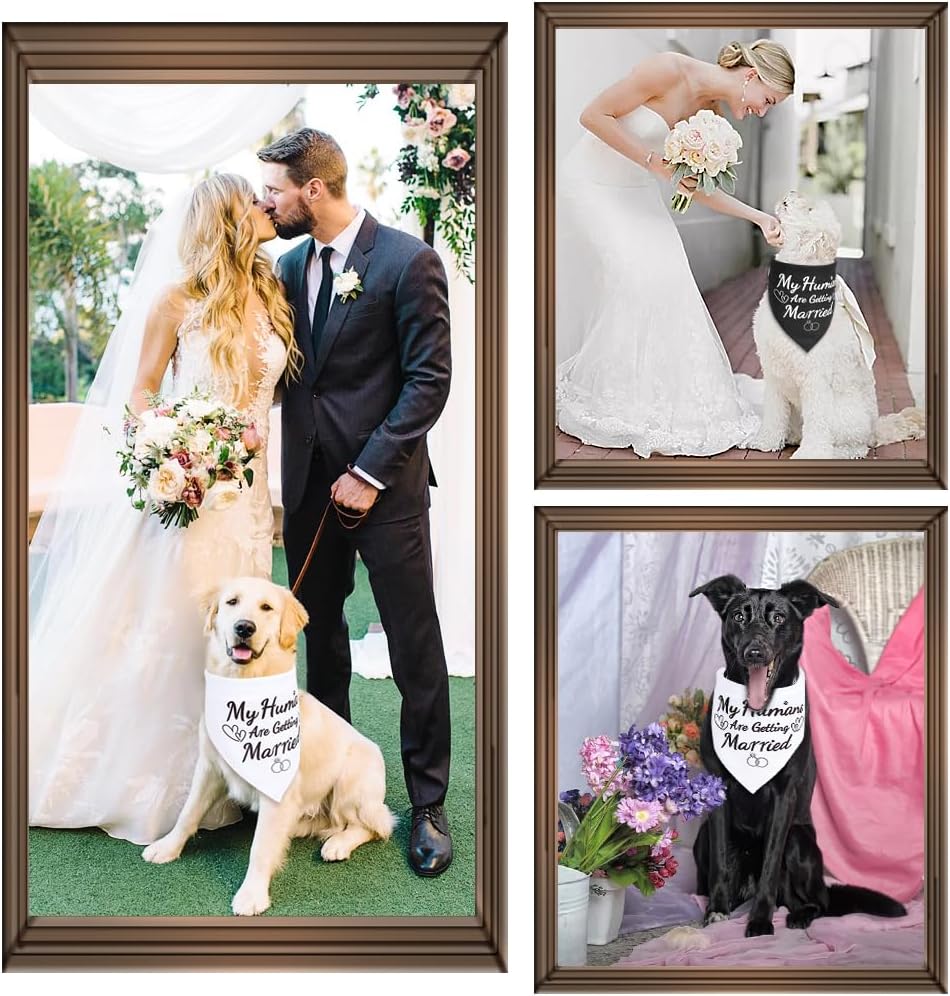 SZEE bridal shower gifts for couples featuring two pack pet apparel items