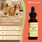 Kan Herbs Rehmannia Eight Combination side profile showing volume size
