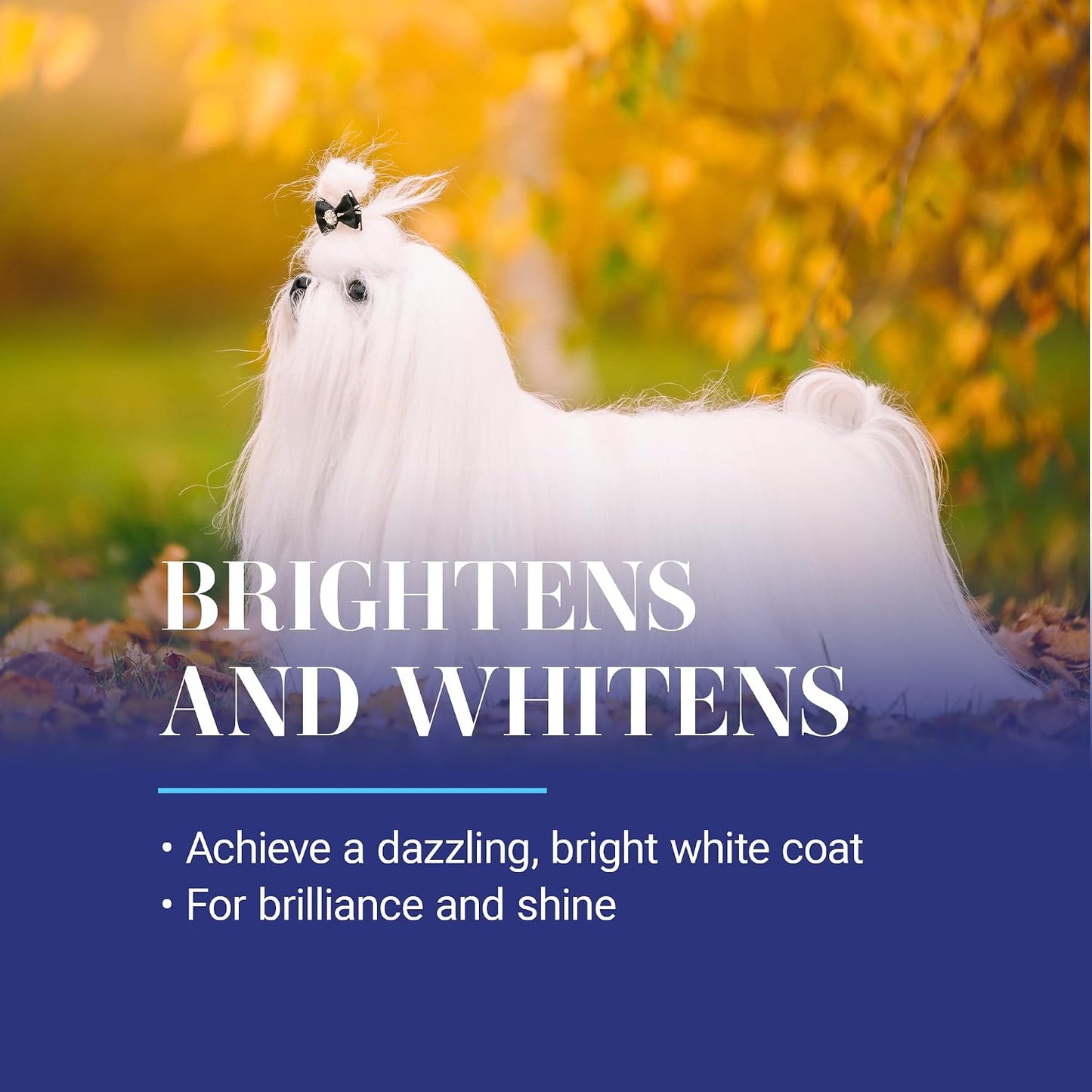 Professional dog grooming whitening treatment 16 fluid ounces