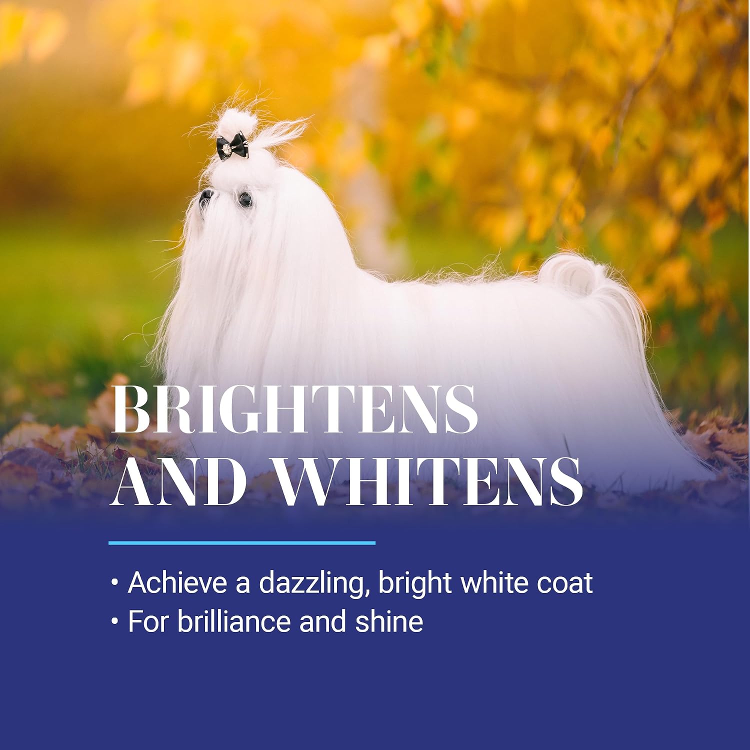 Professional dog grooming whitening treatment 16 fluid ounces