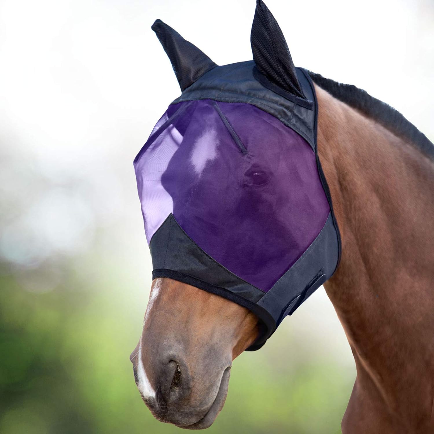 Harrison Howard fly mask eye space design showing clear visibility