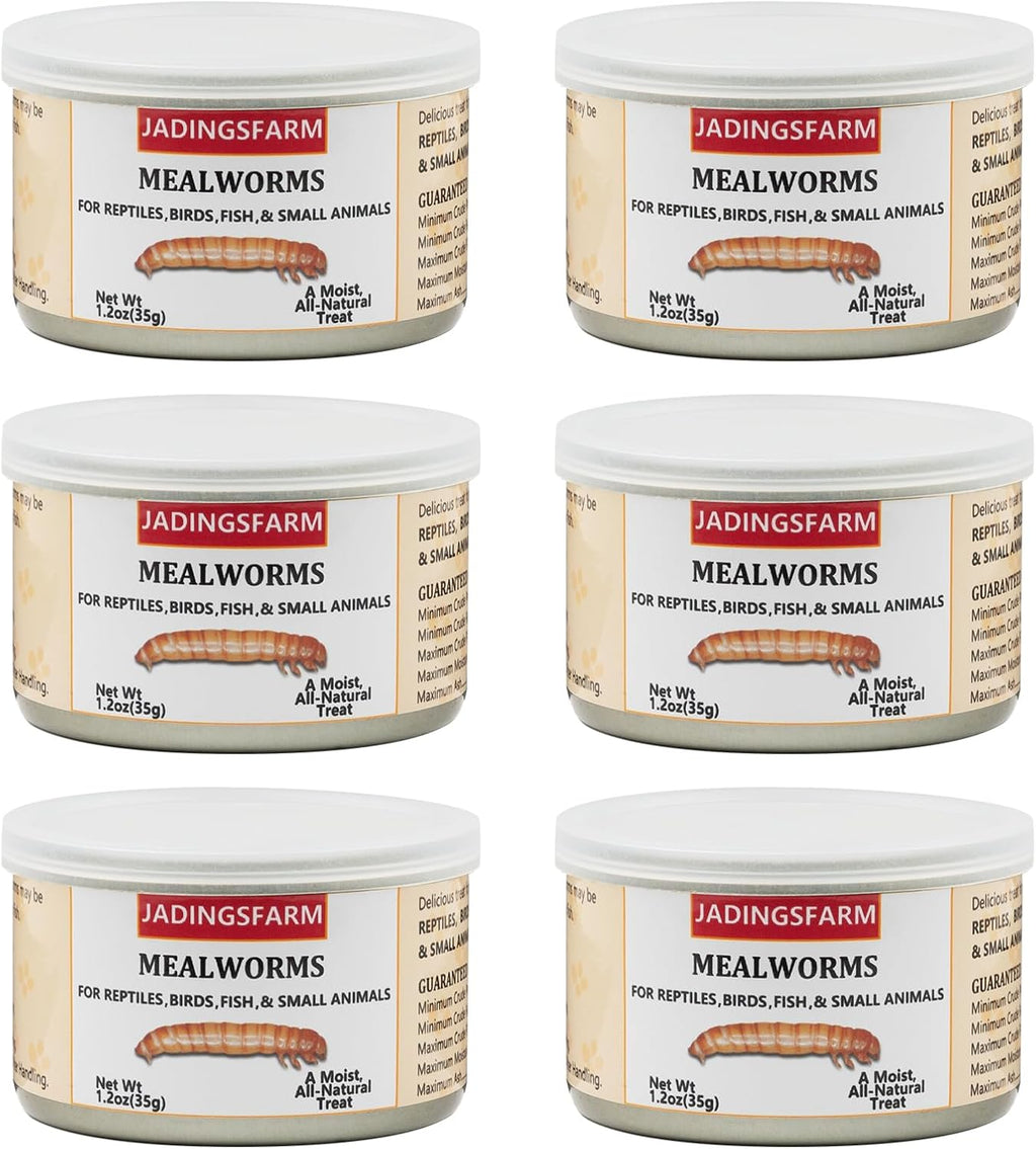 6 Pack Canned Crickets for Reptiles, Fish, Birds and Small Animals, Crickets, Healthy High Protein Treat, Reptile Bird Fish Food 7.2 Ounces Total - Image 10