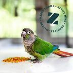 Cockatiel eating ZuPreem FruitBlend pellet food