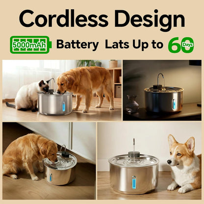 Components of YoYoRemote cordless dog water fountain