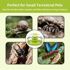 Round Transparent Snail Terrarium Kit, Small Animal Carrier with Removable Base, Portable Bug Observation Box for Outdoor Exploration, Educational Insect Habitat for Kids - Image 7
