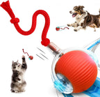 Mardynus Speedy Tail 2.0 automatic rolling cat toy front view