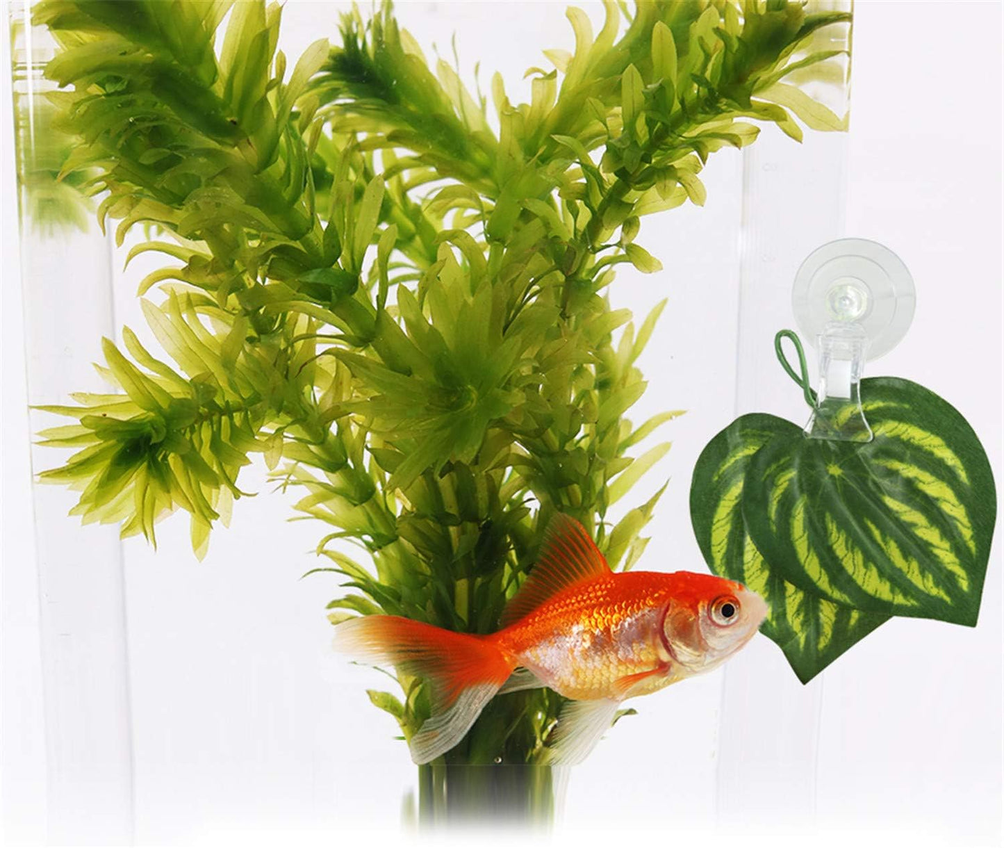 SLSON fish feeder clip holding artificial plants to create a natural aquarium backdrop.