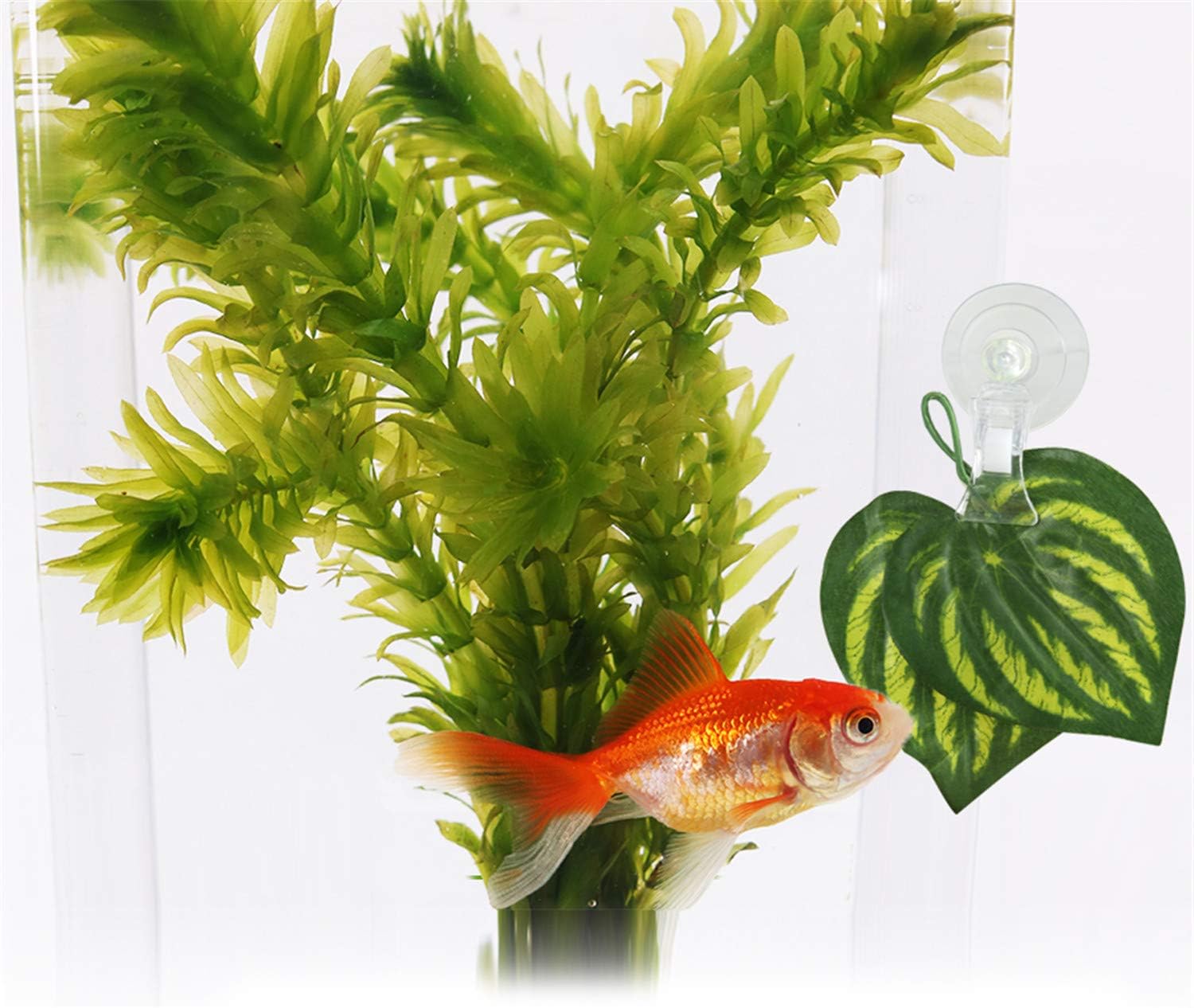 SLSON fish feeder clip holding artificial plants to create a natural aquarium backdrop.