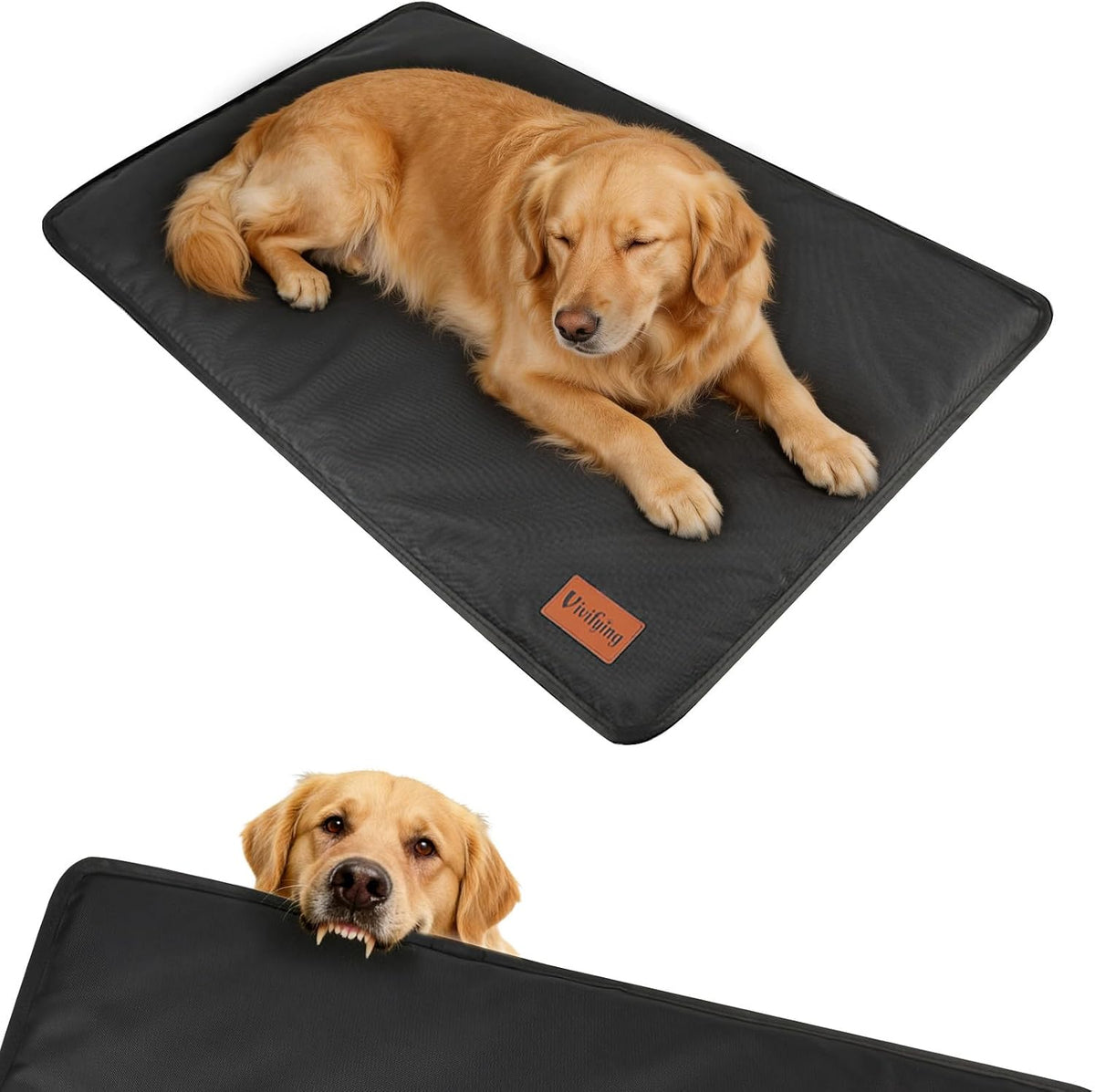 Vivifying chew proof dog bed front view