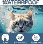 Waterproof flea collar for cats close up