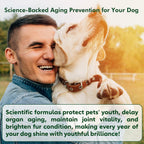 Nutridog cellular health and longevity soft chews container emphasizing omega three and coenzyme Q10 formulation for older pets