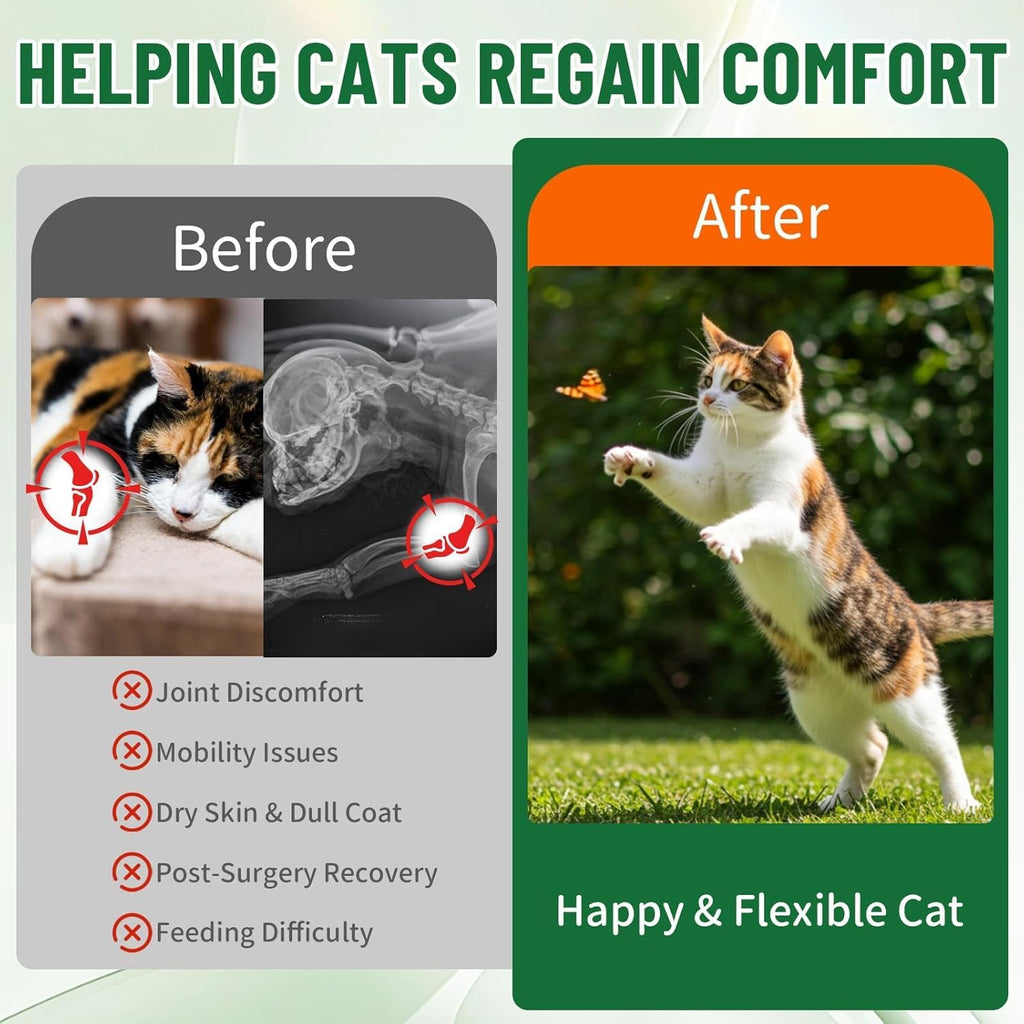 Detailed label of Beyxdu bovine collagen for cats