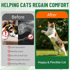 Detailed label of Beyxdu bovine collagen for cats