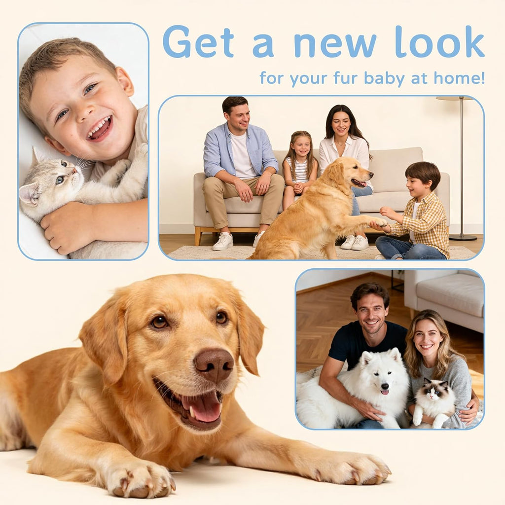 8VR Dog Hair Vacuum cleaning brush and nozzle heads removing pet hair from home upholstery.