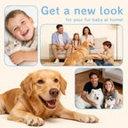 8VR Dog Hair Vacuum cleaning brush and nozzle heads removing pet hair from home upholstery.