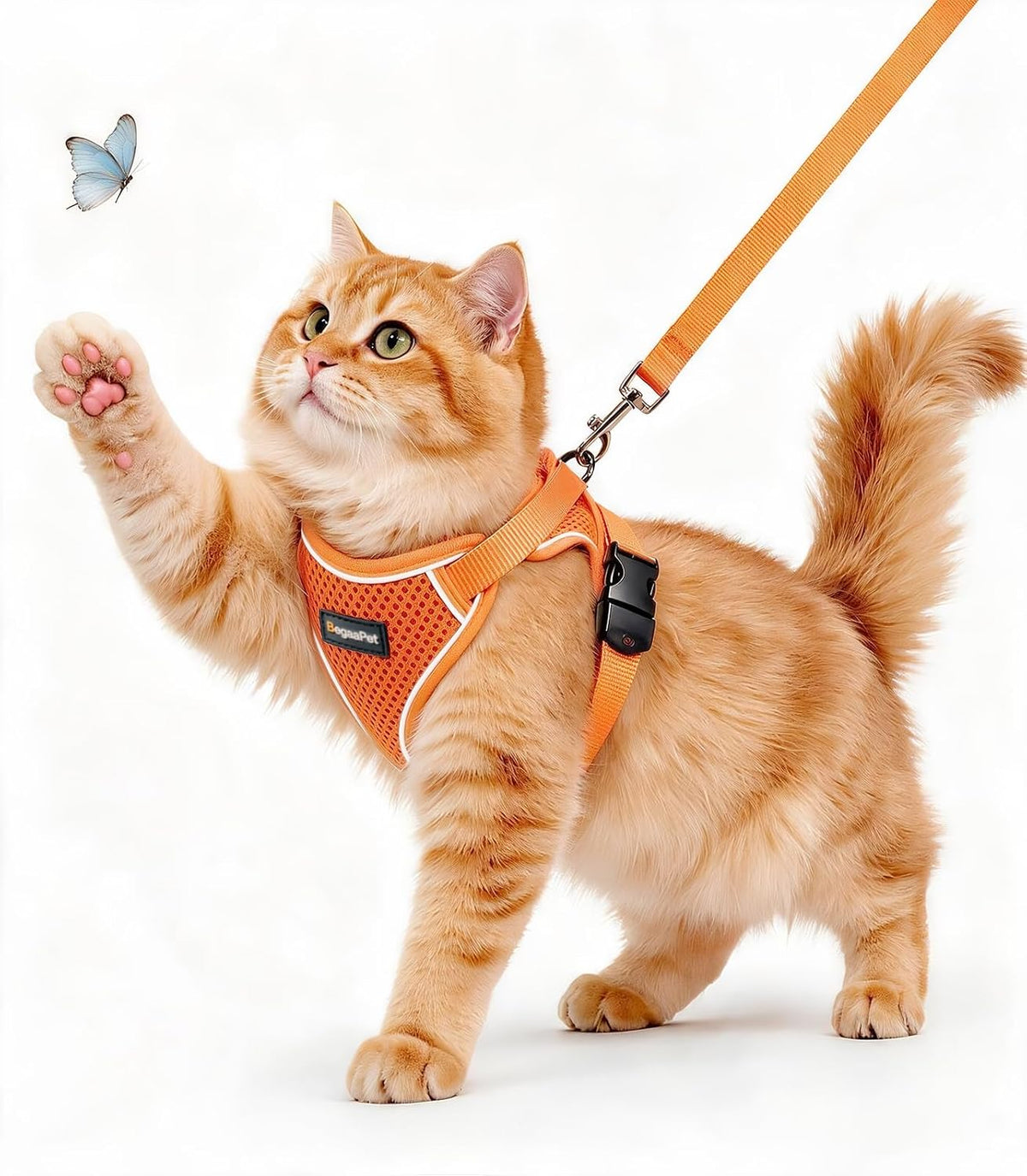 Cat Harness and Leash for Walking, Escape Proof Adjustable Vest Harness - Image 13