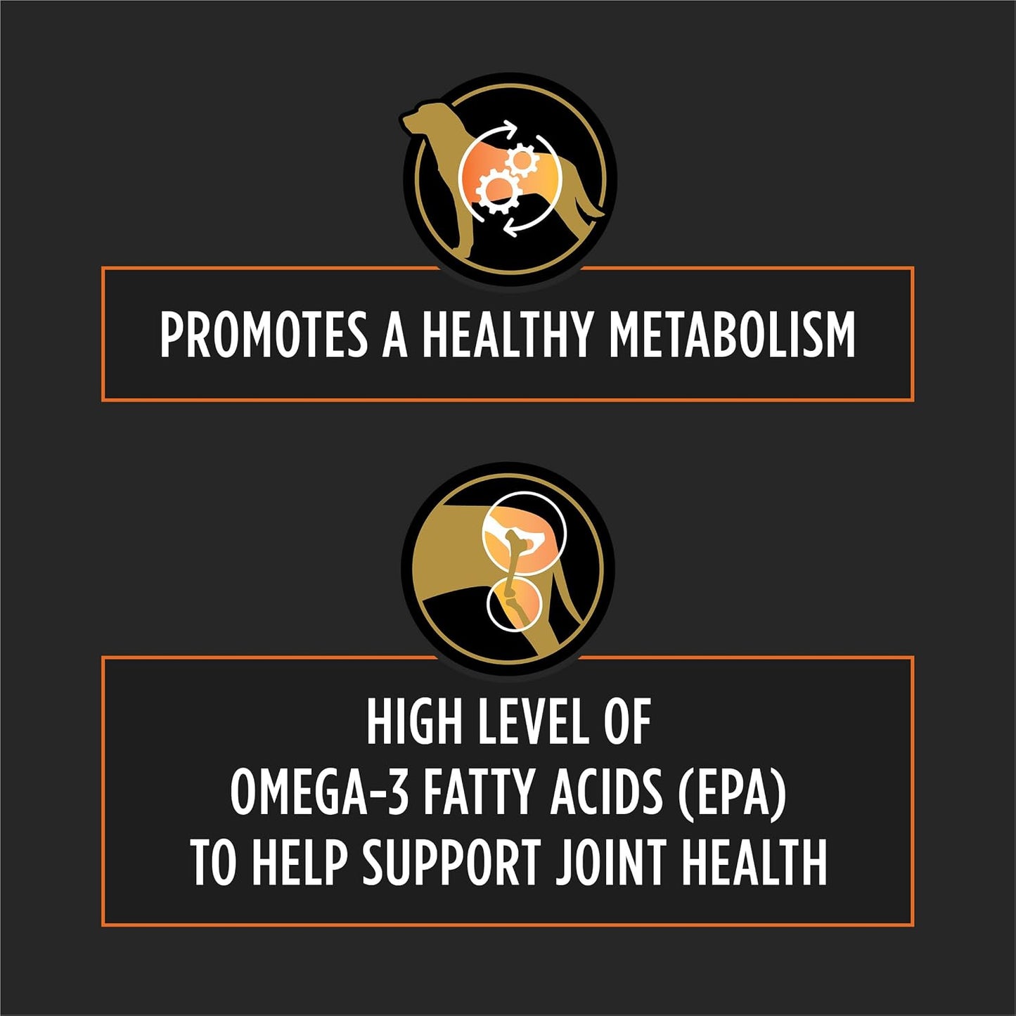 Purina OM Metabolic Response Plus Joint Mobility therapeutic kibble for adult dogs facing arthritis and weight issues