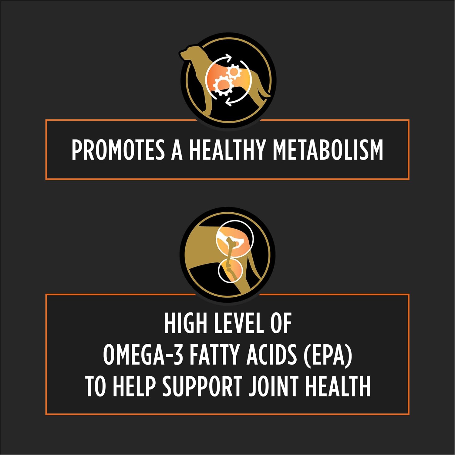 Purina OM Metabolic Response Plus Joint Mobility therapeutic kibble for adult dogs facing arthritis and weight issues